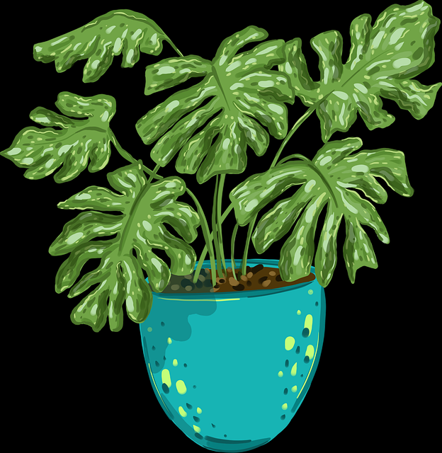 彩蛋妻社app解锁：兼容性实测