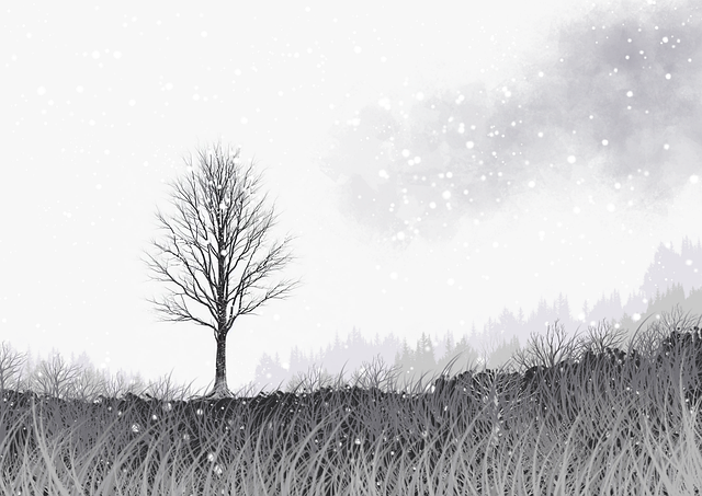 一文读懂P站创作者策略：革新指南【附案例】