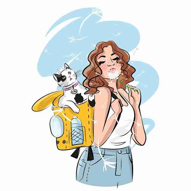 妻社app：多维玩法与兼容性实测